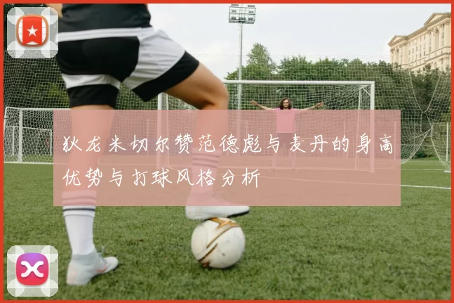 狄龙米切尔赞范德彪与麦丹的身高优势与打球风格分析